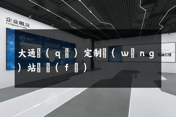 大通區(qū)定制網(wǎng)站開發(fā)