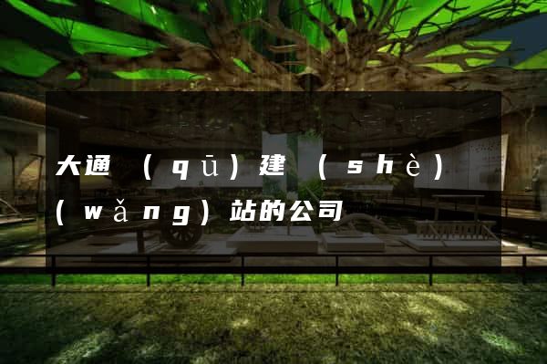 大通區(qū)建設(shè)網(wǎng)站的公司