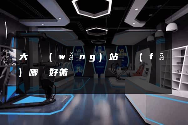 大連網(wǎng)站開發(fā)哪兒好薇