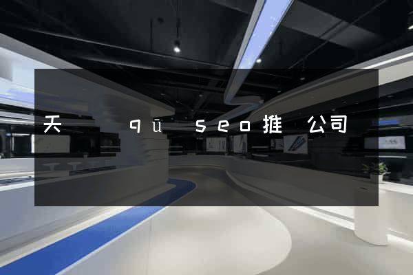 天寧區(qū)seo推廣公司