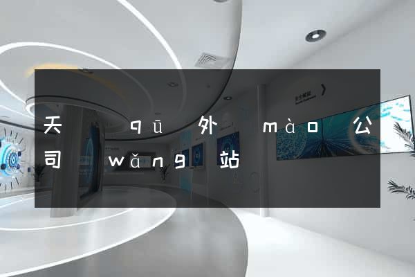 天寧區(qū)外貿(mào)公司網(wǎng)站