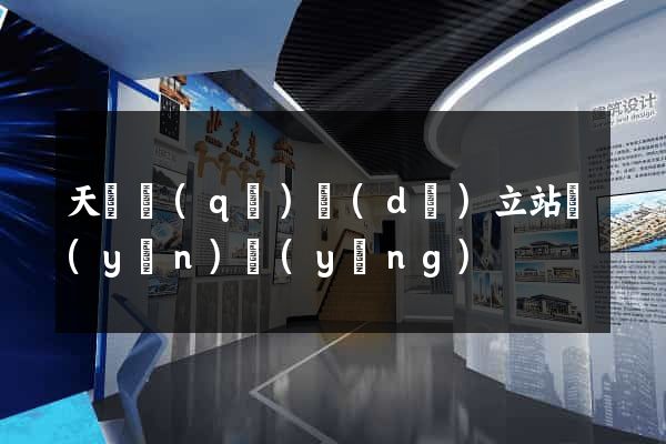 天寧區(qū)獨(dú)立站運(yùn)營(yíng)