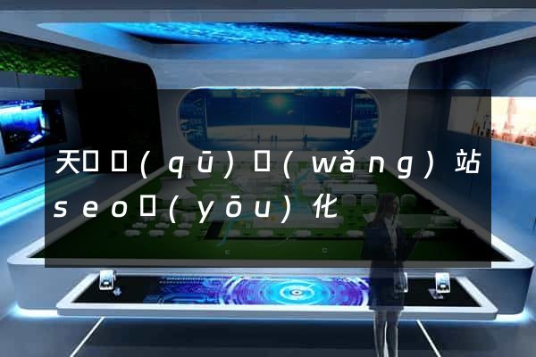 天寧區(qū)網(wǎng)站seo優(yōu)化