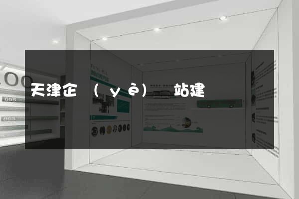 天津企業(yè)網站建設