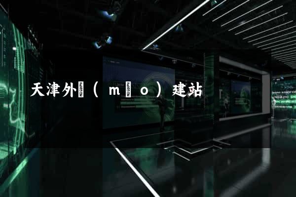 天津外貿(mào)建站