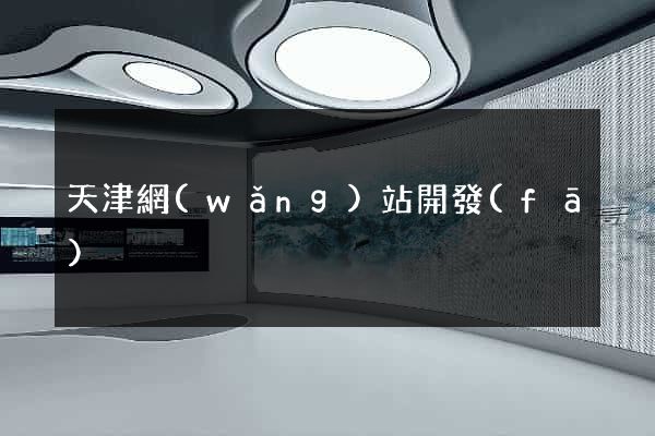 天津網(wǎng)站開發(fā)