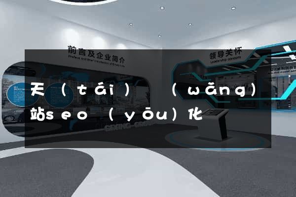 天臺(tái)縣網(wǎng)站seo優(yōu)化