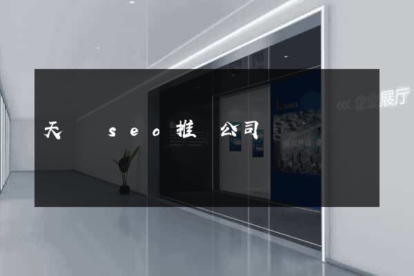 天臺縣seo推廣公司