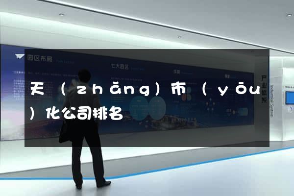 天長(zhǎng)市優(yōu)化公司排名