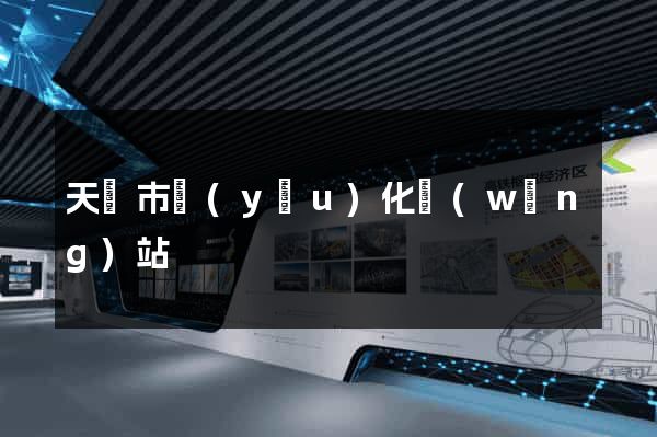 天長市優(yōu)化網(wǎng)站