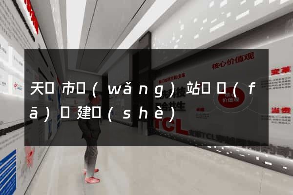 天長市網(wǎng)站開發(fā)與建設(shè)
