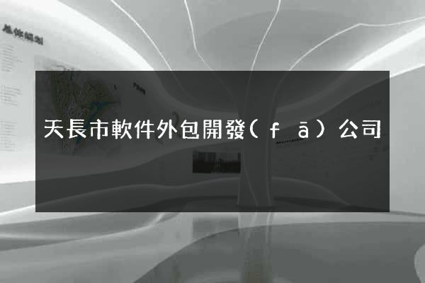 天長市軟件外包開發(fā)公司