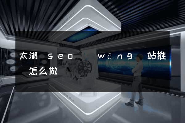 太湖縣seo網(wǎng)站推廣怎么做