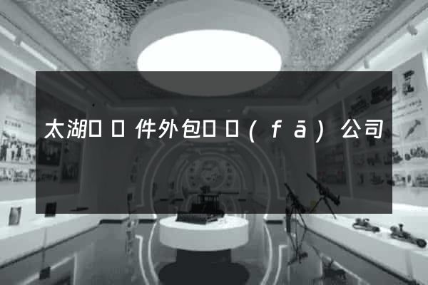 太湖縣軟件外包開發(fā)公司