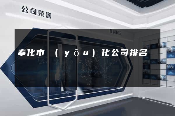奉化市優(yōu)化公司排名