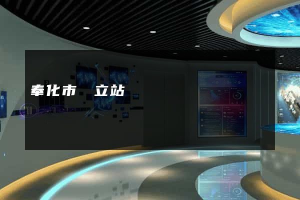 奉化市獨立站運營