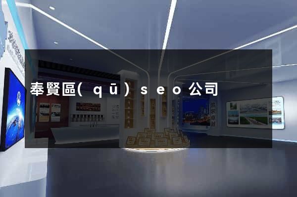 奉賢區(qū)seo公司