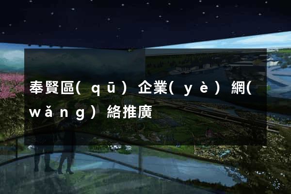 奉賢區(qū)企業(yè)網(wǎng)絡推廣