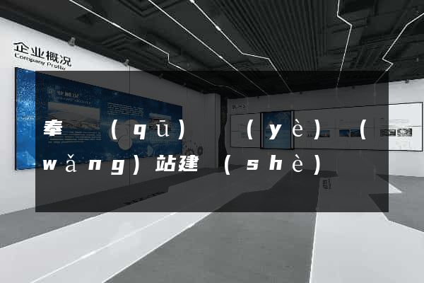 奉賢區(qū)專業(yè)網(wǎng)站建設(shè)