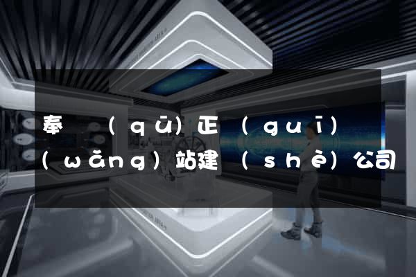 奉賢區(qū)正規(guī)網(wǎng)站建設(shè)公司