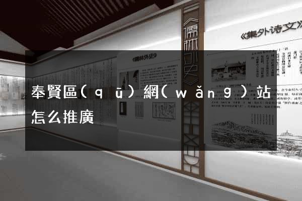 奉賢區(qū)網(wǎng)站怎么推廣