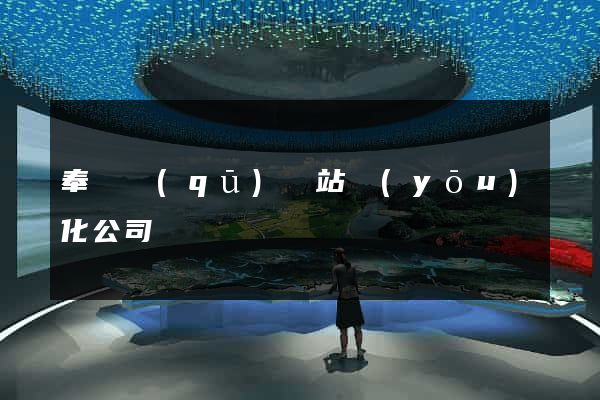 奉賢區(qū)網站優(yōu)化公司
