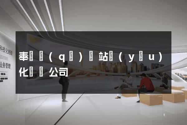 奉賢區(qū)網站優(yōu)化設計公司