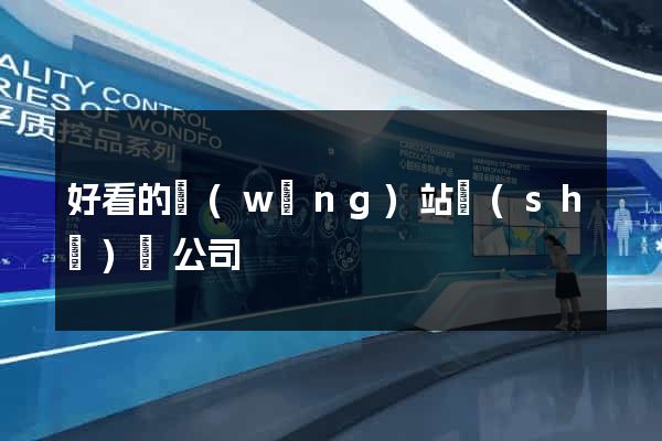 好看的網(wǎng)站設(shè)計公司