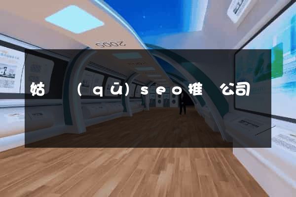 姑蘇區(qū)seo推廣公司