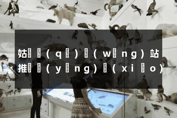 姑蘇區(qū)網(wǎng)站推廣營(yíng)銷(xiāo)
