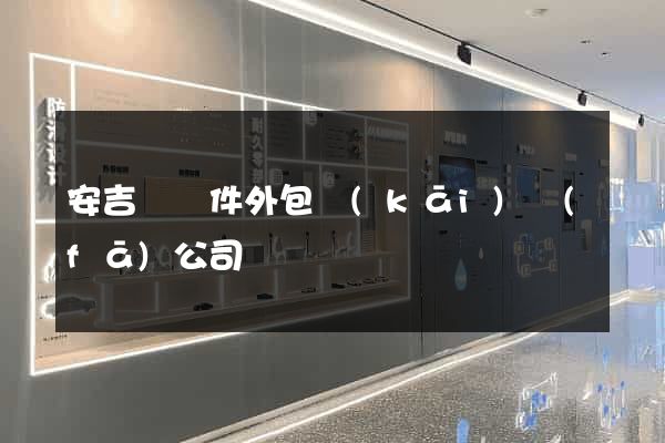 安吉縣軟件外包開(kāi)發(fā)公司