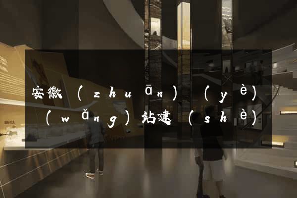 安徽專(zhuān)業(yè)網(wǎng)站建設(shè)