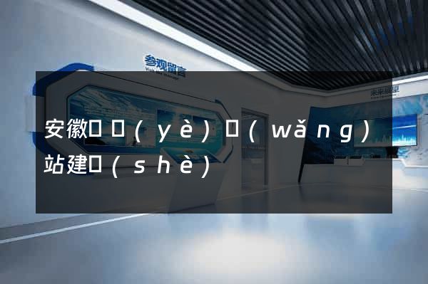 安徽專業(yè)網(wǎng)站建設(shè)