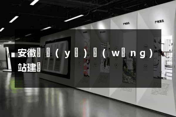 安徽專業(yè)網(wǎng)站建設
