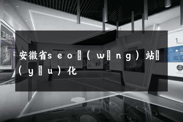 安徽省seo網(wǎng)站優(yōu)化