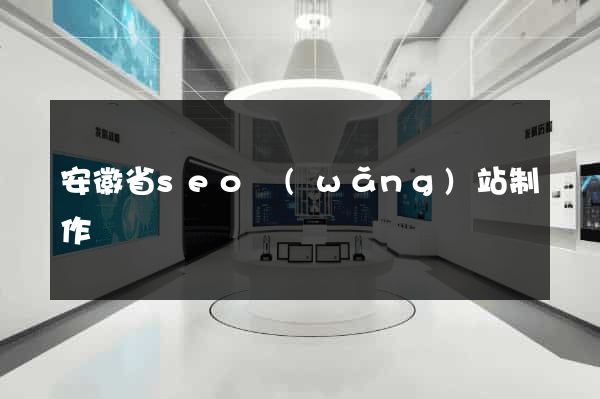 安徽省seo網(wǎng)站制作