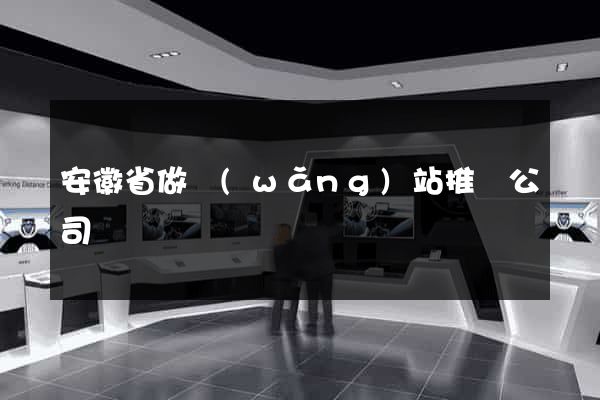 安徽省做網(wǎng)站推廣公司