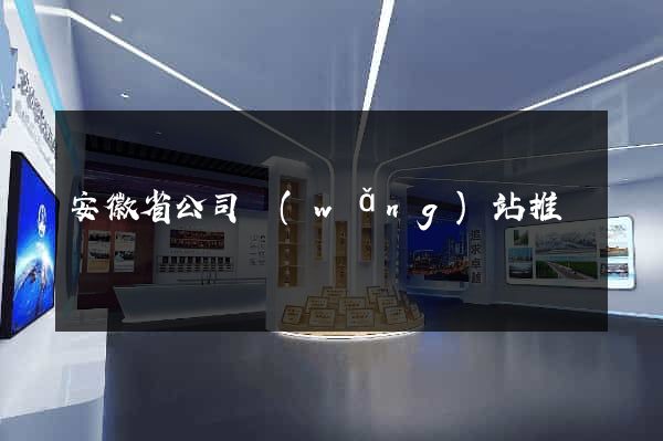 安徽省公司網(wǎng)站推廣