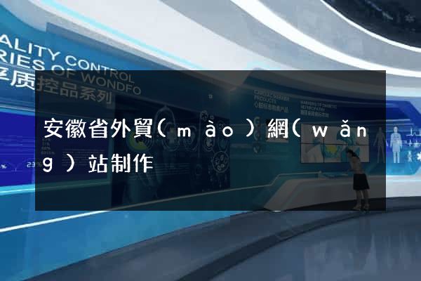 安徽省外貿(mào)網(wǎng)站制作