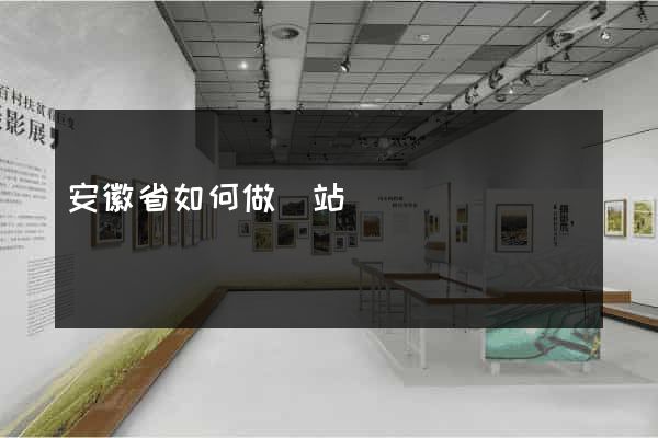 安徽省如何做網站