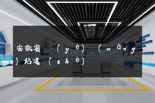 安徽省專業(yè)網(wǎng)站建設(shè)