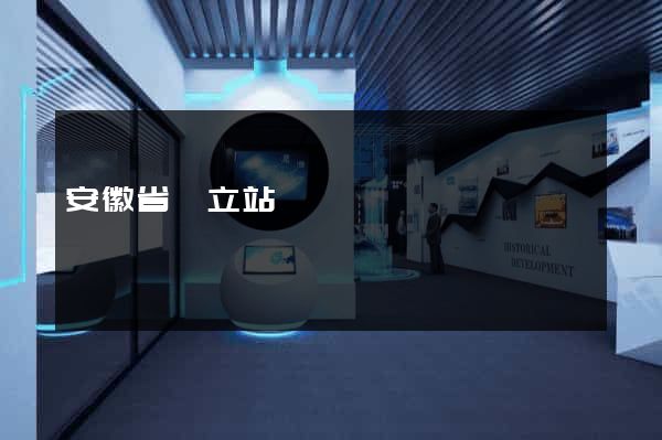 安徽省獨立站運營