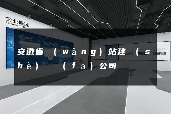安徽省網(wǎng)站建設(shè)開發(fā)公司