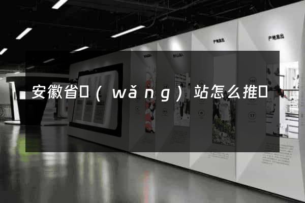 安徽省網(wǎng)站怎么推廣