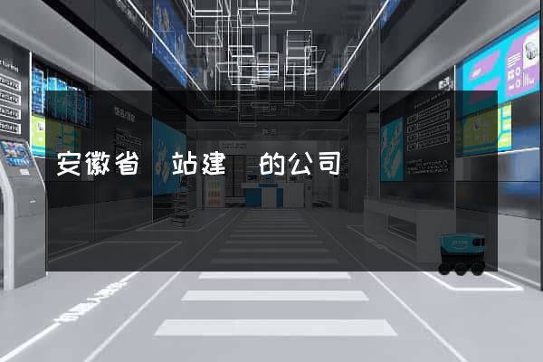 安徽省網站建設的公司
