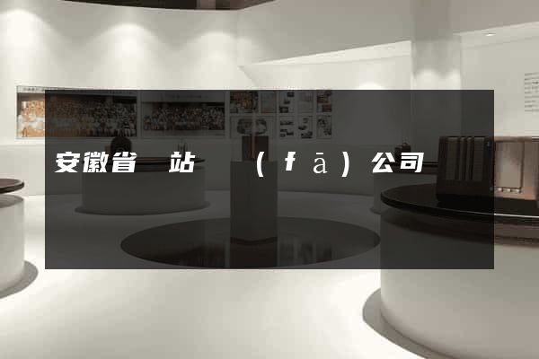 安徽省網站開發(fā)公司
