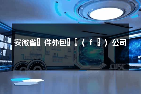 安徽省軟件外包開發(fā)公司