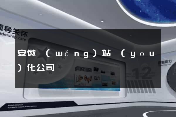 安徽網(wǎng)站優(yōu)化公司
