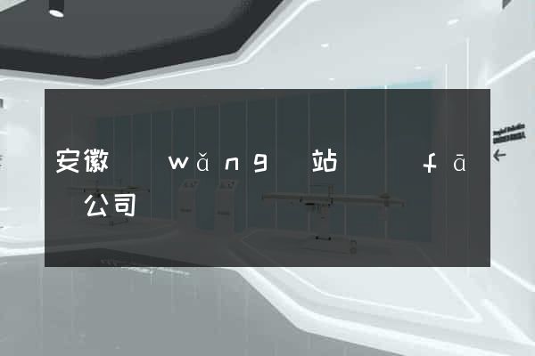 安徽網(wǎng)站開發(fā)公司