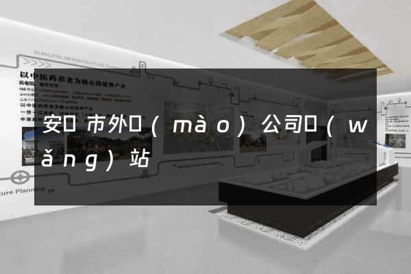 安慶市外貿(mào)公司網(wǎng)站